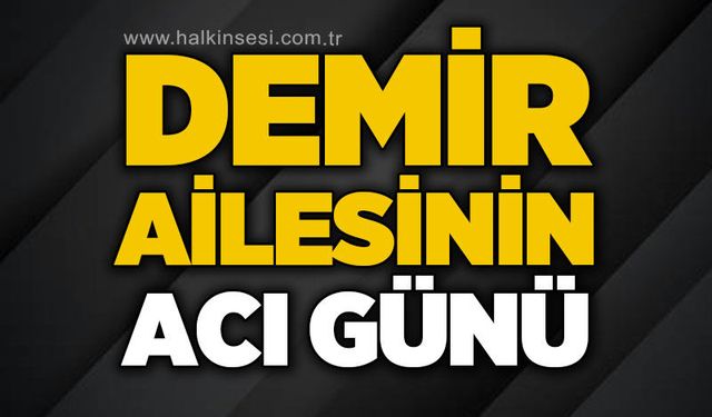 Mehmet Demir hayatını kaybetti