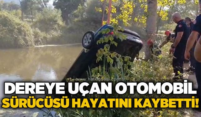 Dereye uçan otomobil sürücüsü hayatını kaybetti
