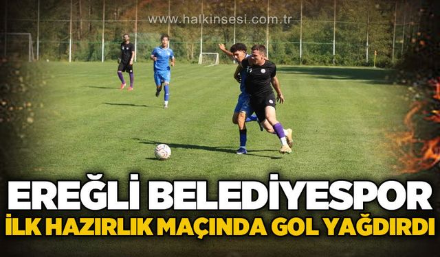 Spor