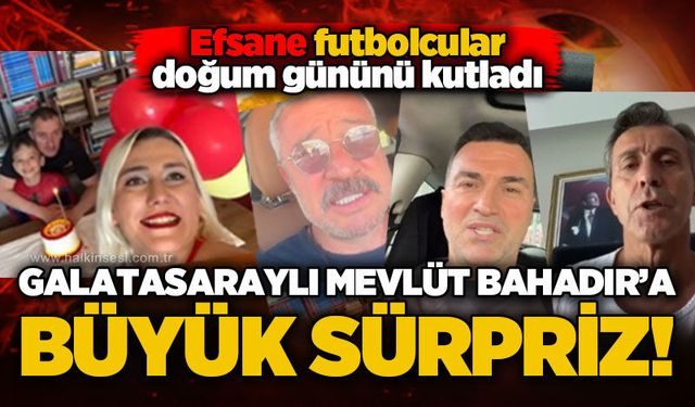 Spor
