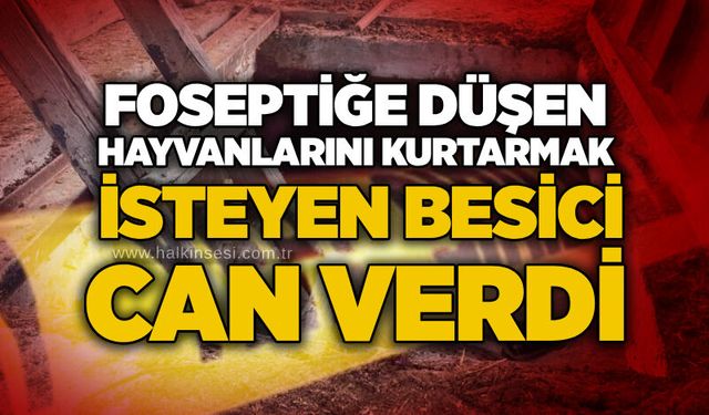 Foseptiğe düşen hayvanlarını kurtarmak isteyen besici can verdi