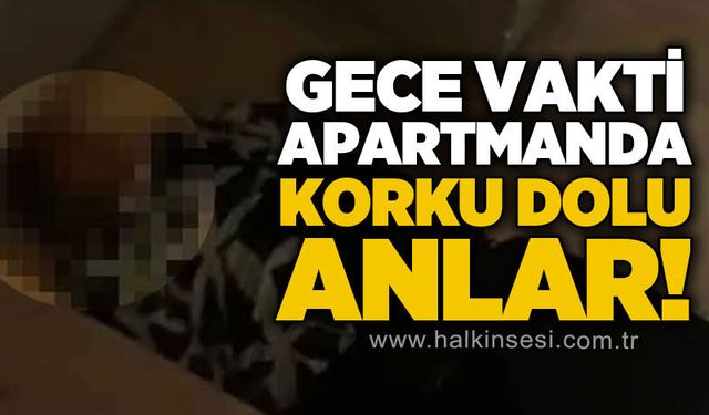 KDZ. Ereğli
