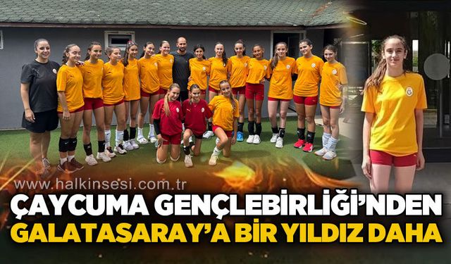Spor