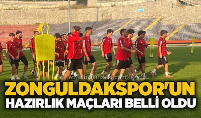 Spor