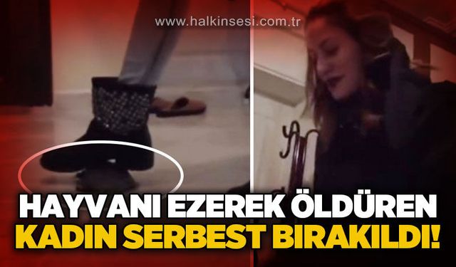 KDZ. Ereğli