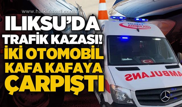 Kozlu
