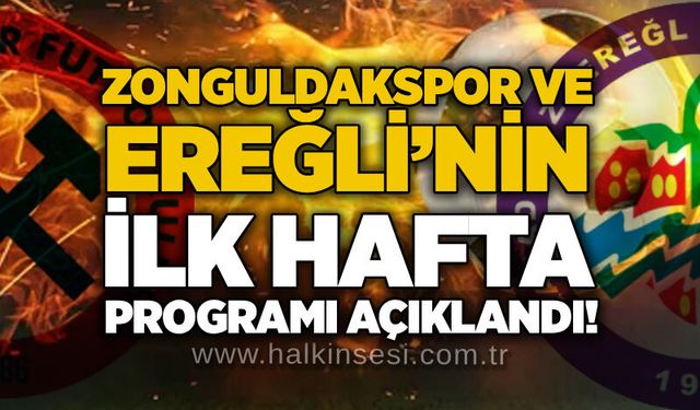 Spor