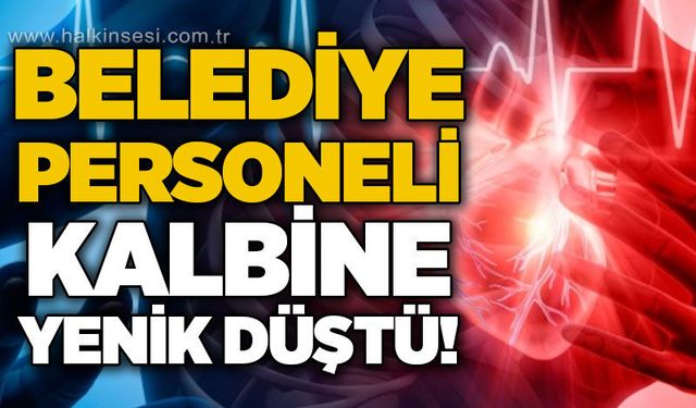 Gökçebey