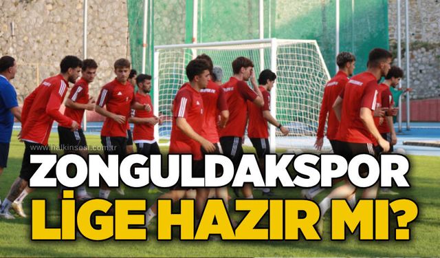 Spor