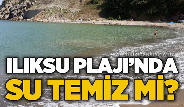 Kozlu