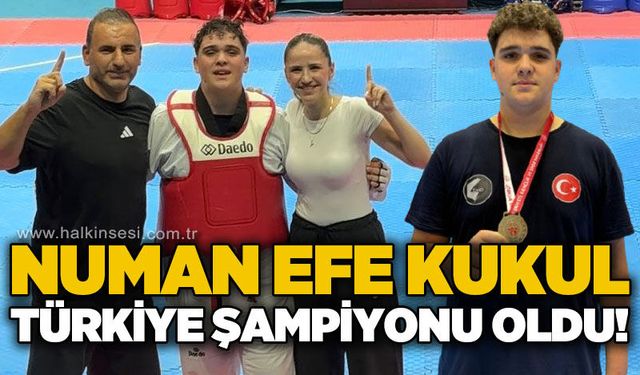 Spor