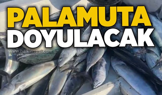 Zonguldak