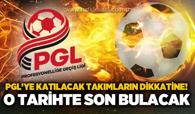 Spor