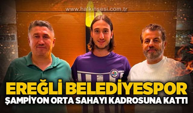 Spor