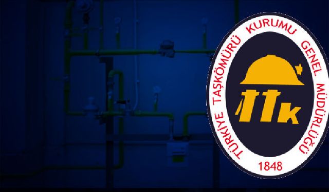 Üzülmez Müessesesi İş Yerlerinin Doğalgaz Dönüşümü İşi