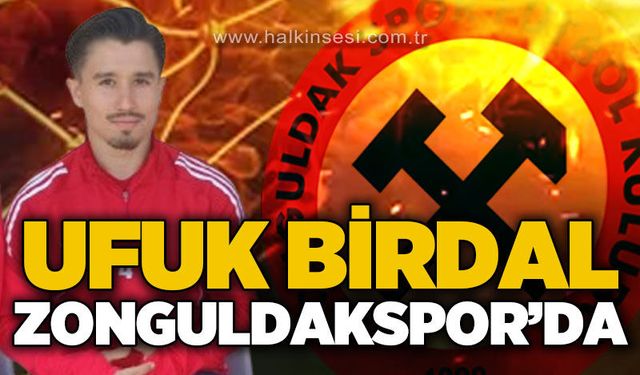 Spor