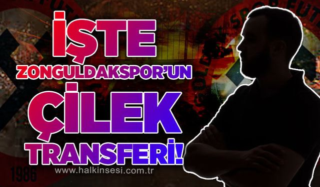 Spor