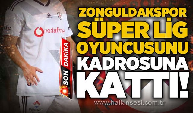 Spor