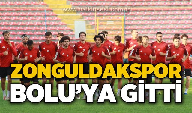 Spor