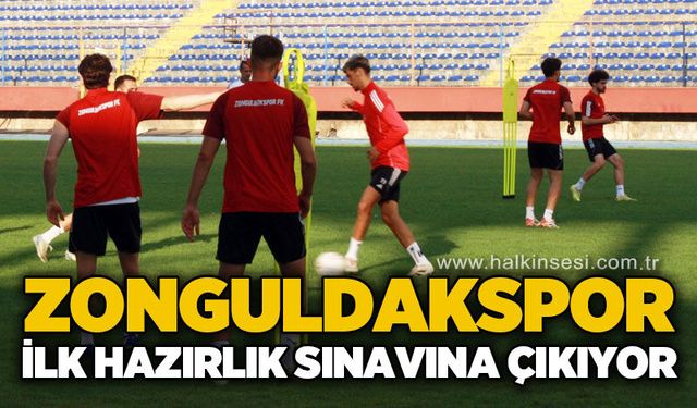 Spor