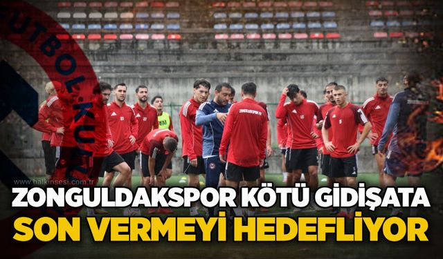 Spor