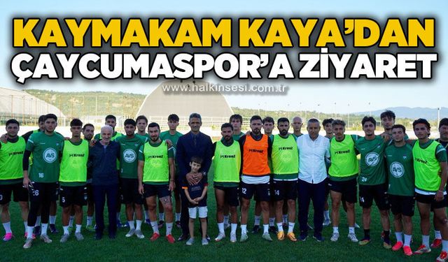 Spor