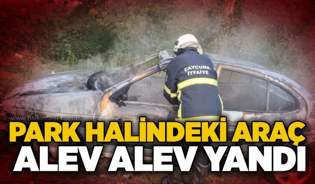 Çaycuma