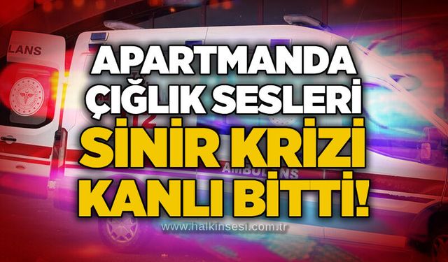 Apartmanda çığlık sesleri: Sinir krizi kanlı bitti!