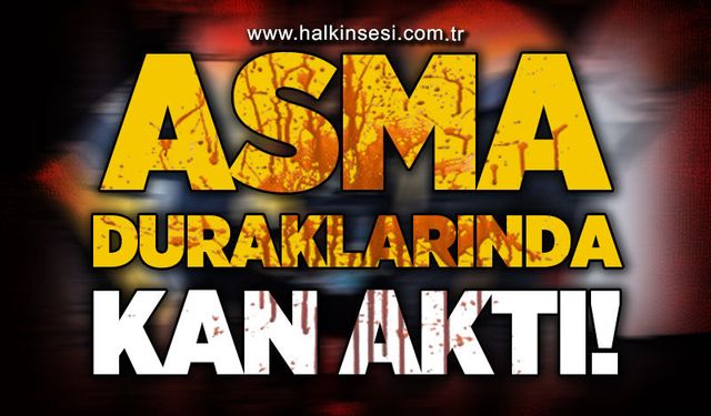 Asma Durakları'nda kan aktı: 1 yaralı