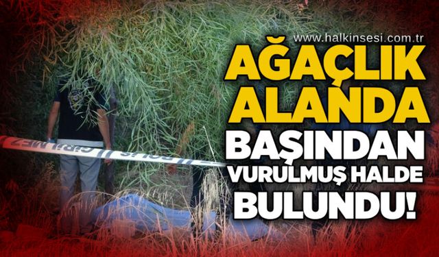 Ağaçlık alanda başından vurulmuş halde bulundu!