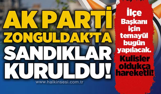 AK Parti Zonguldak'ta sandıklar kuruldu: İlçe Başkanı için sandığa gidilecek