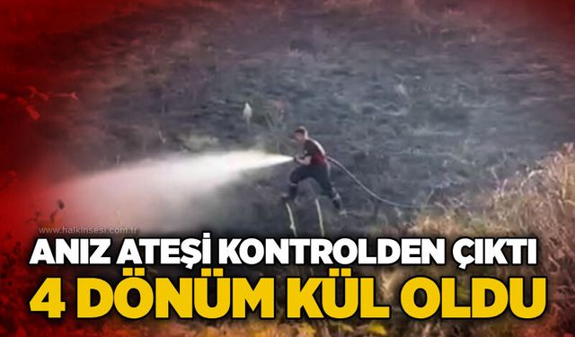 Anız ateşi kontrolden çıktı: 4 dönüm kül oldu