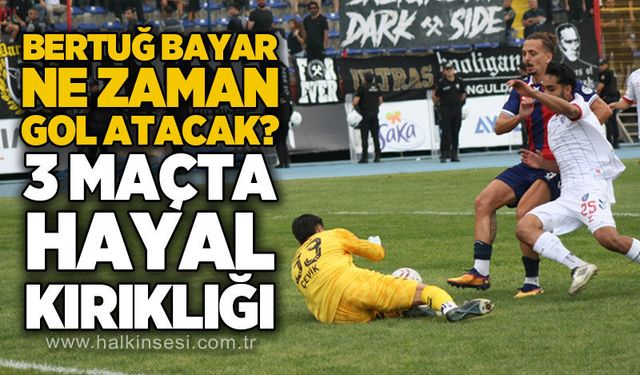 Spor