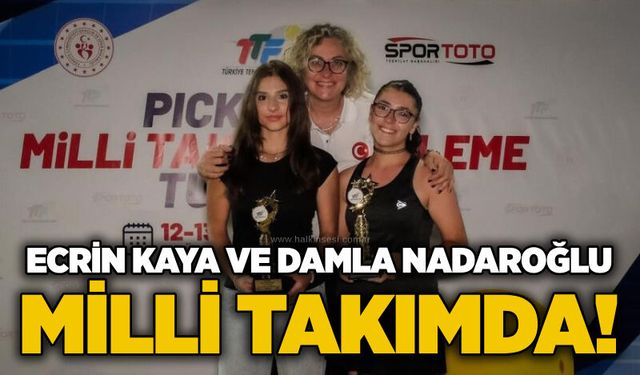 Spor