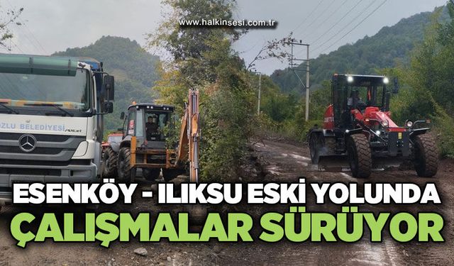 Kozlu