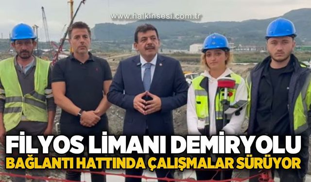 Filyos Limanı Demiryolu Bağlantı Hattı'nda çalışmalar sürüyor