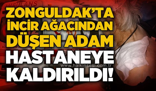 Zonguldak'ta incir ağacından düşen adam hastaneye kaldırıldı