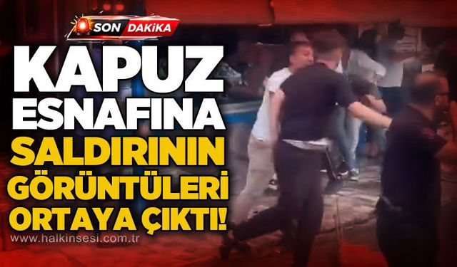 Spor