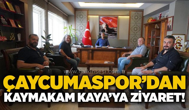 Spor