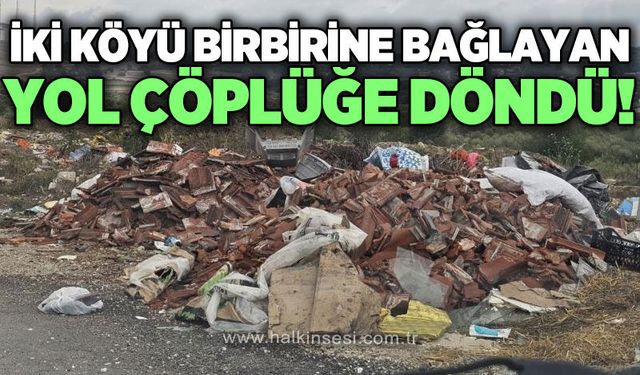 Bolu
