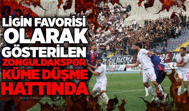 Spor
