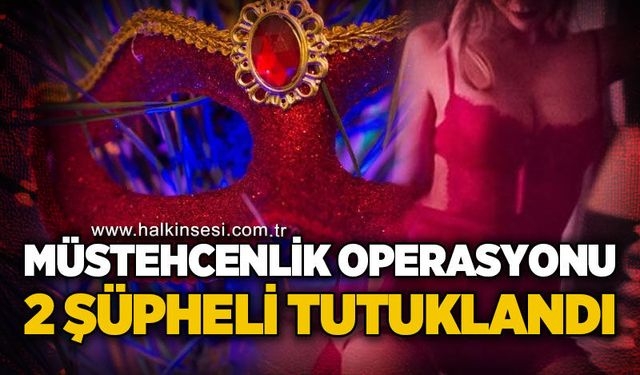 Müstehcenlik operasyonu: 2 şüpheli tutuklandı