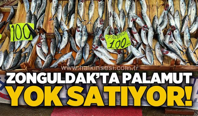 Zonguldak’ta palamut bolluğu:  100 TL’den satışta