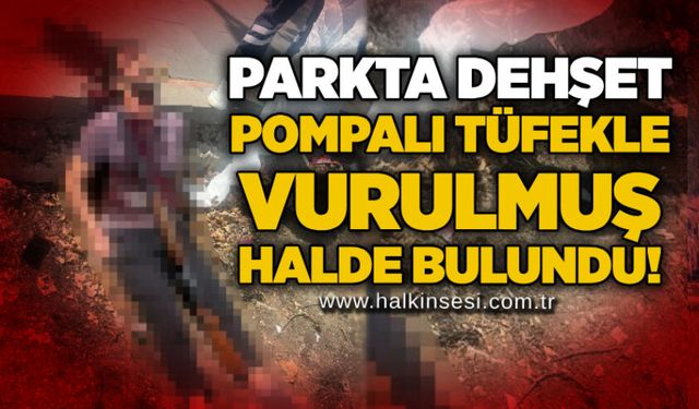 Parkta dehşet: Pompalı tüfekle vurulmuş halde bulundu!