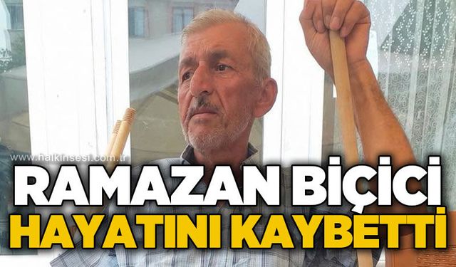 Gökçebey