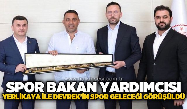 Spor