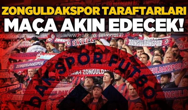 Spor