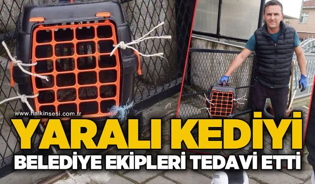 Çaycuma
