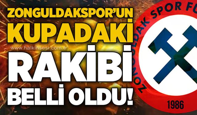 Spor
