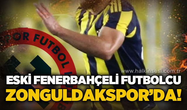 Spor